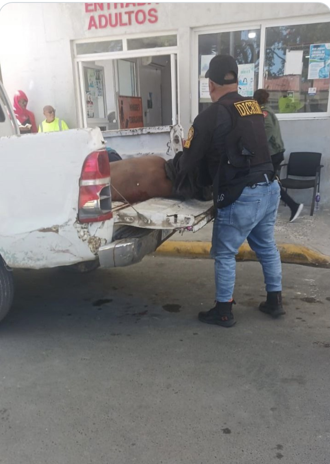 imagen-entrada
