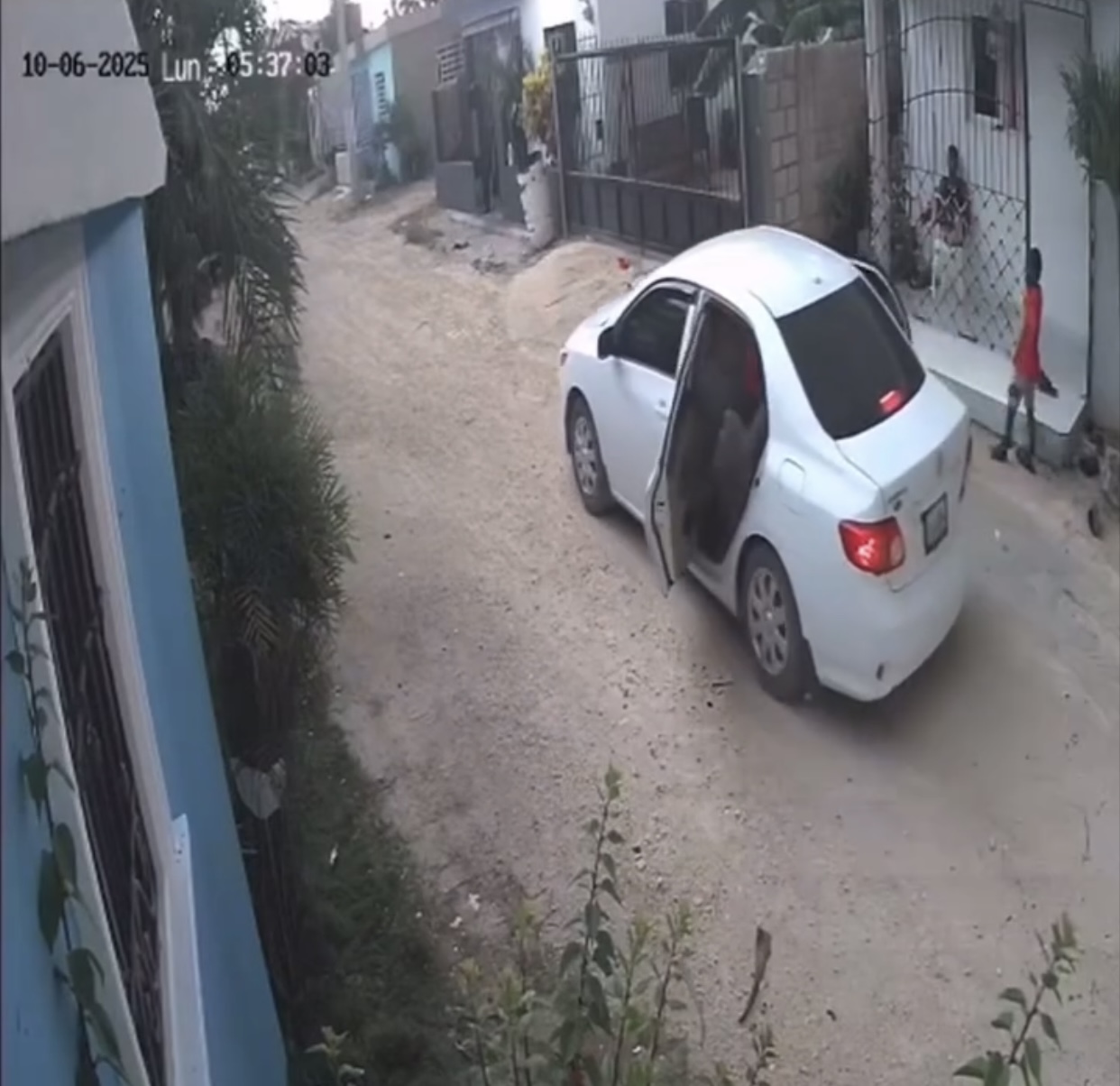 imagenes de la noticia