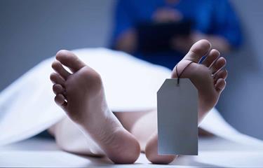 imagenes de la noticia