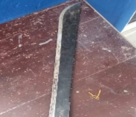 imagenes de la noticia